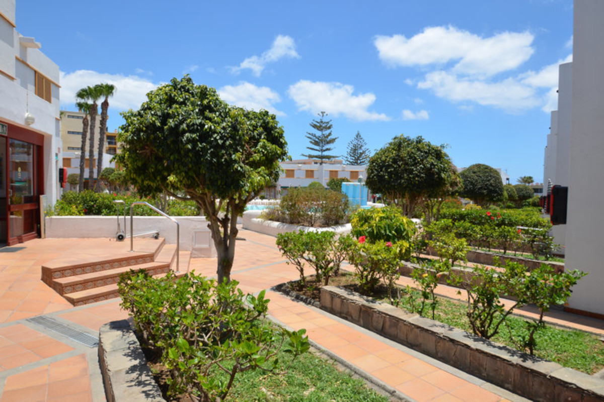 Las Brisas Bungalows Las Brisas Bungalows