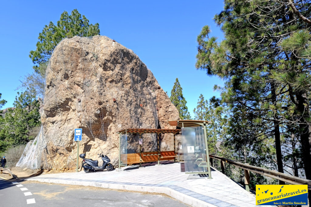 Roque Nublo info