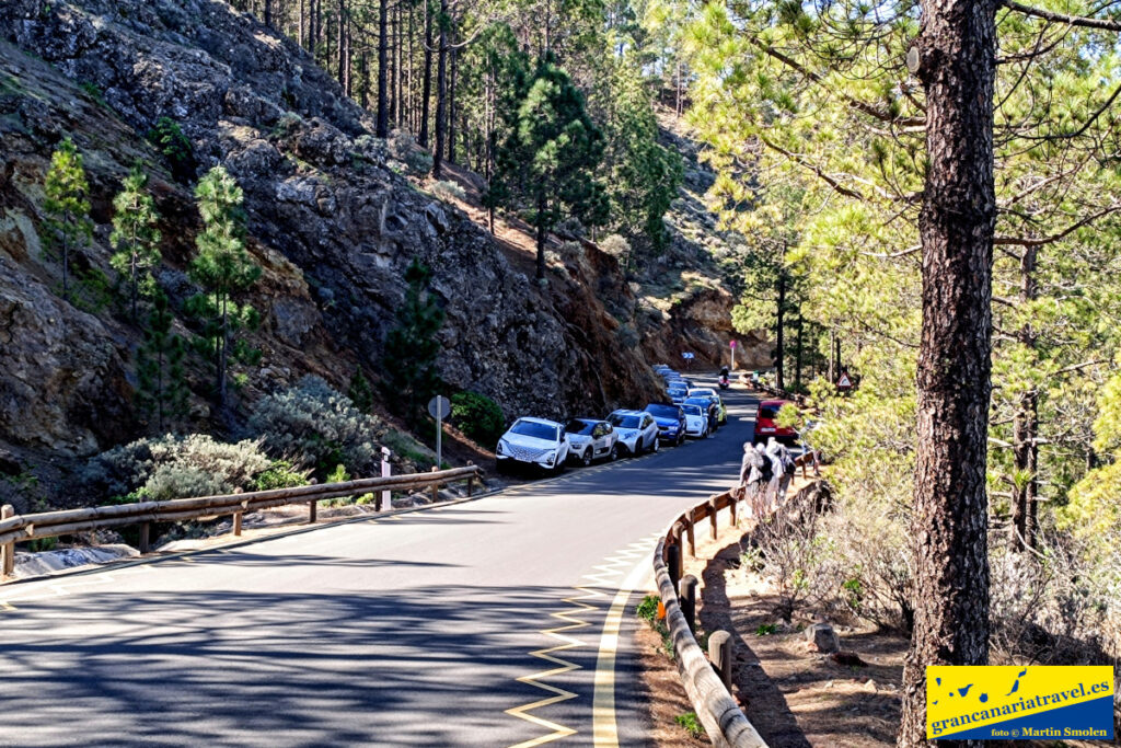 Roque Nublo info