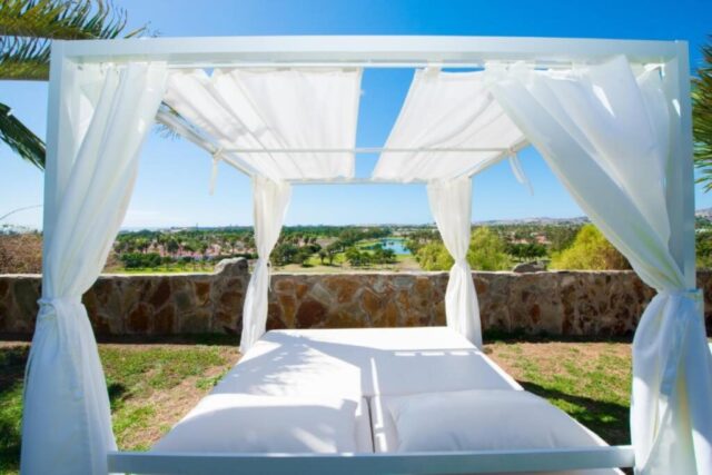 Bull Vital Suites